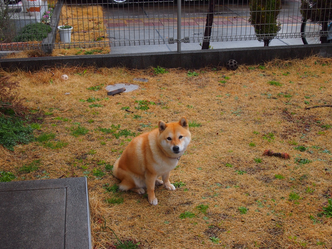 _户外野营运动节：在大自然中锻炼身体_，户外野营是什么意思