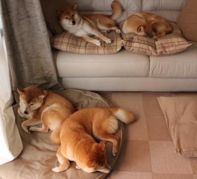 【史诗级对决】两大投手对阵打出史诗级壮观