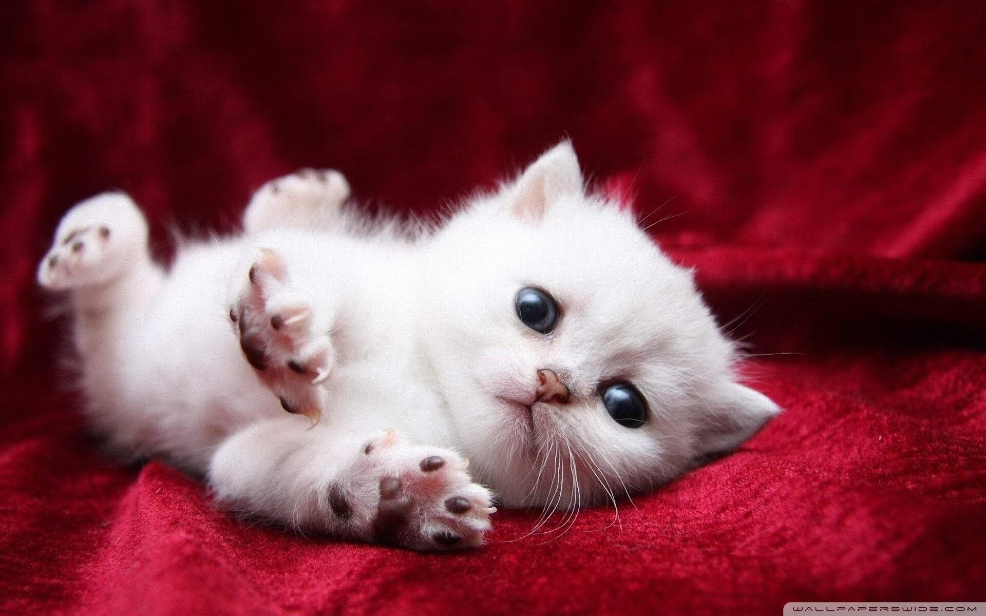 激烈对战：微小失误也可能决定胜负