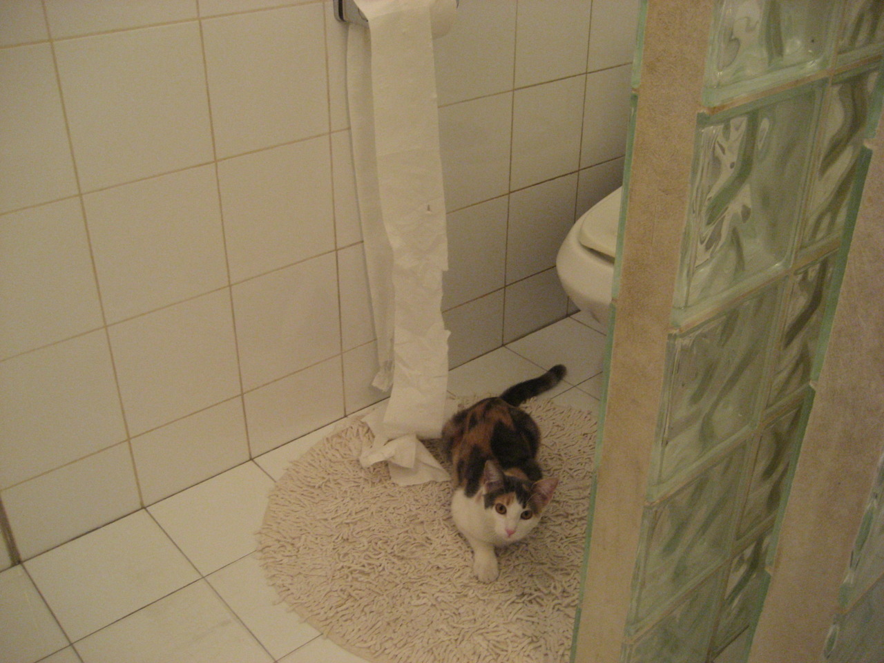 高价签约：值还是不值？俱乐部战术持续优化，签约俱乐部的好处