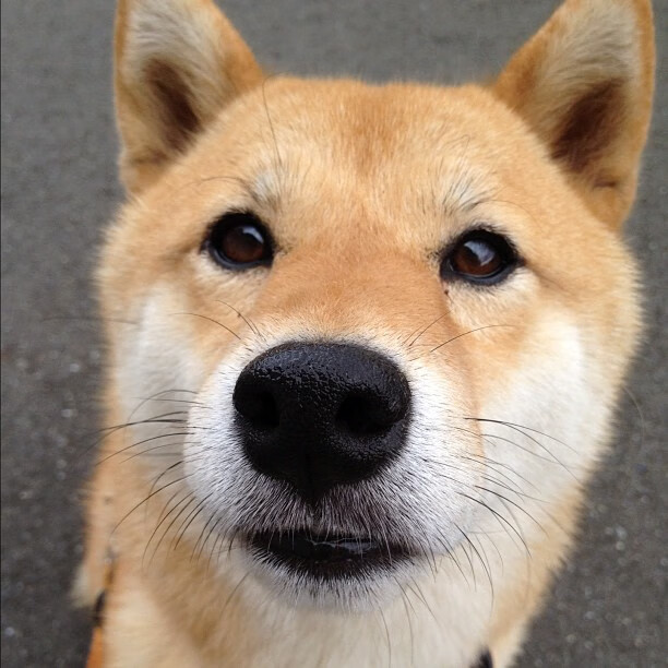 NBA球队参与构建电竞城市体系，nba电竞职业联赛