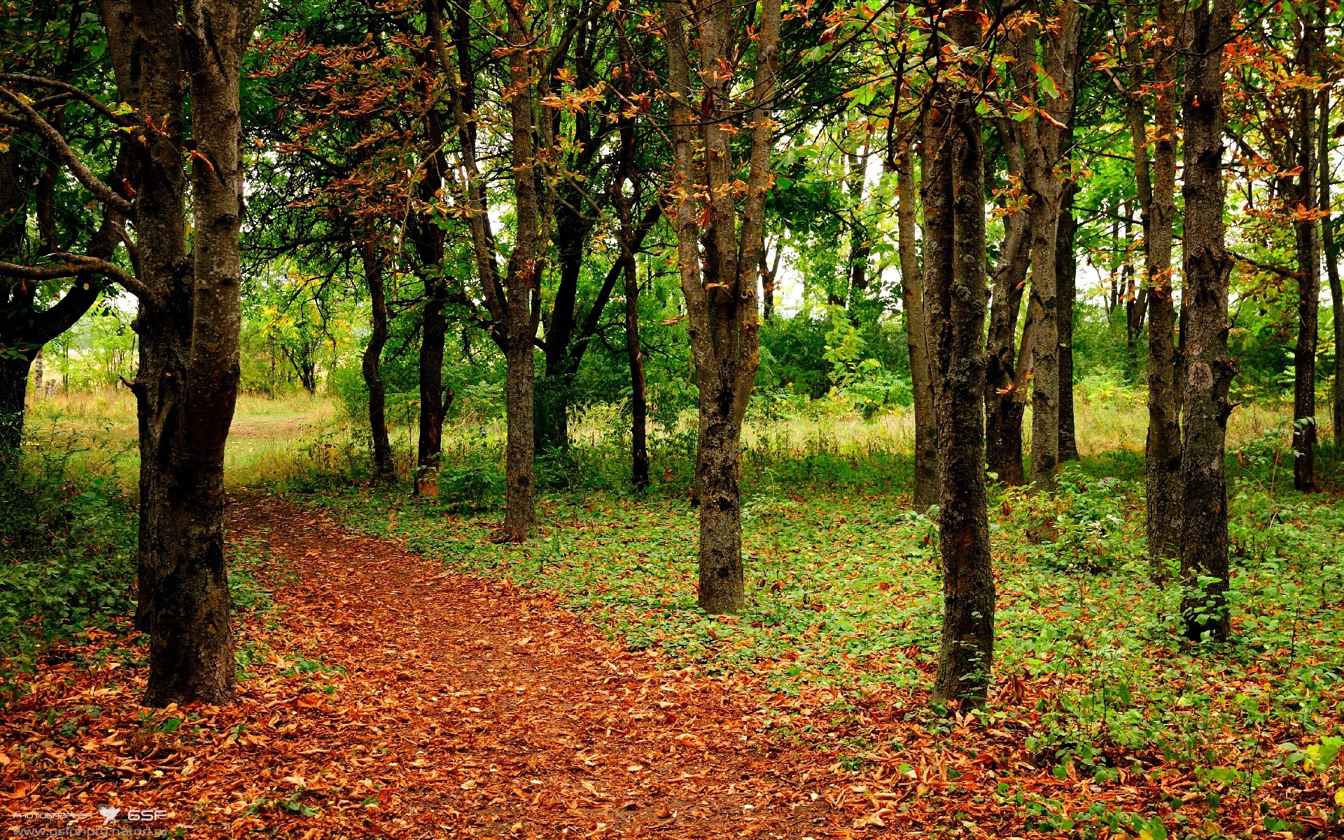 奥萨苏纳主场大捷，轻取对手夺得胜利，奥萨苏纳首发