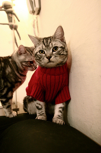 巴拉多利德主场大捷，升至积分榜前列，巴拉多利德主帅