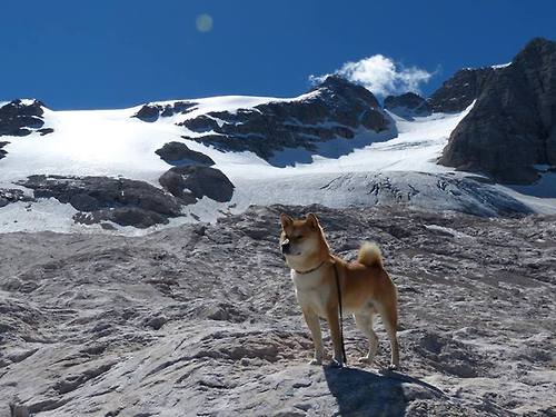 胜负难辨：马刺与太阳之间的大战将分出胜负，马刺对太阳聚胜顽球汇