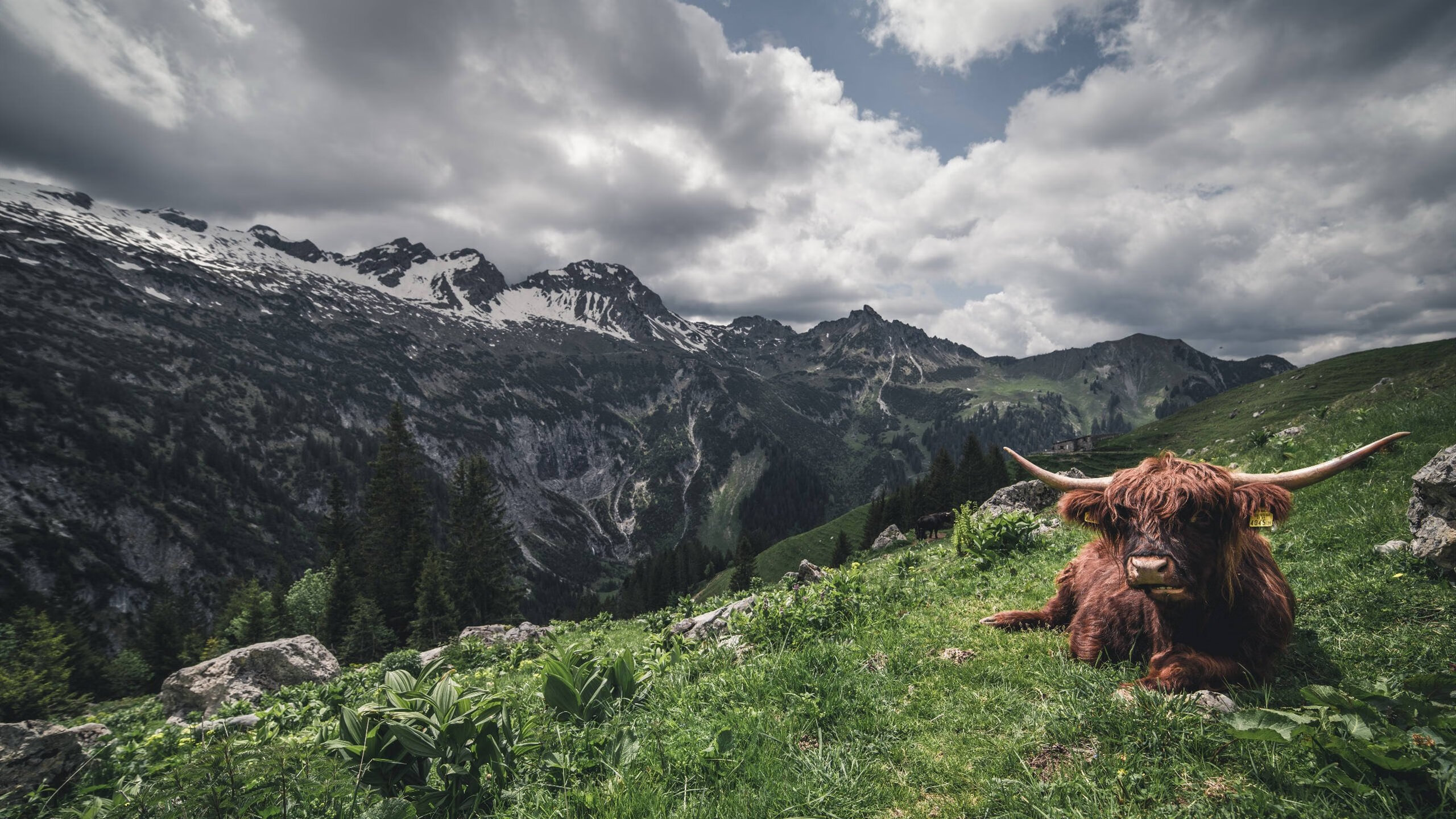 中超球队球队战术执行，中超比赛规则改革