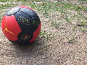 英超球队基于运动表现数据调整赛中体能分配策略，英超球队规则