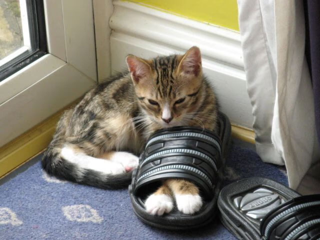 中国男篮全队凝聚力强 打出团队篮球，中国男篮最团结