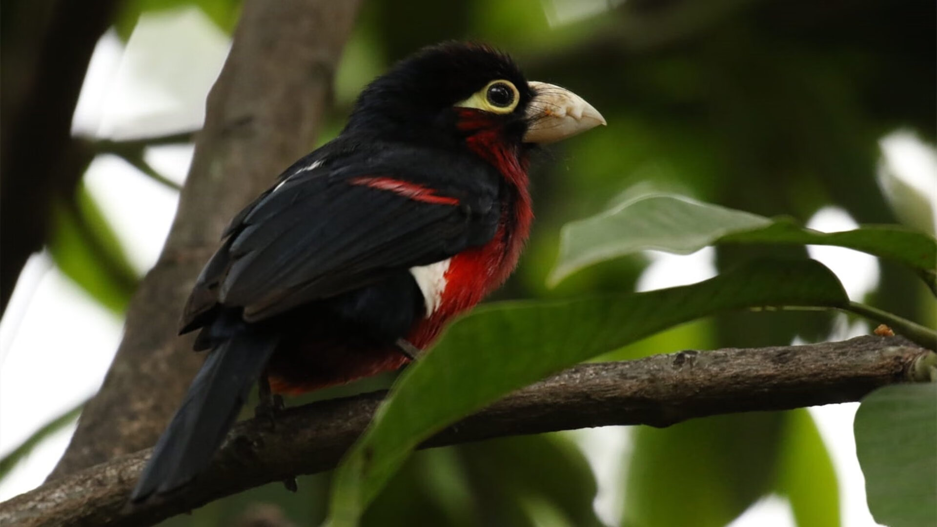 亚洲杯中国青年队爆冷 球员心理承受力考验，亚洲青年足球