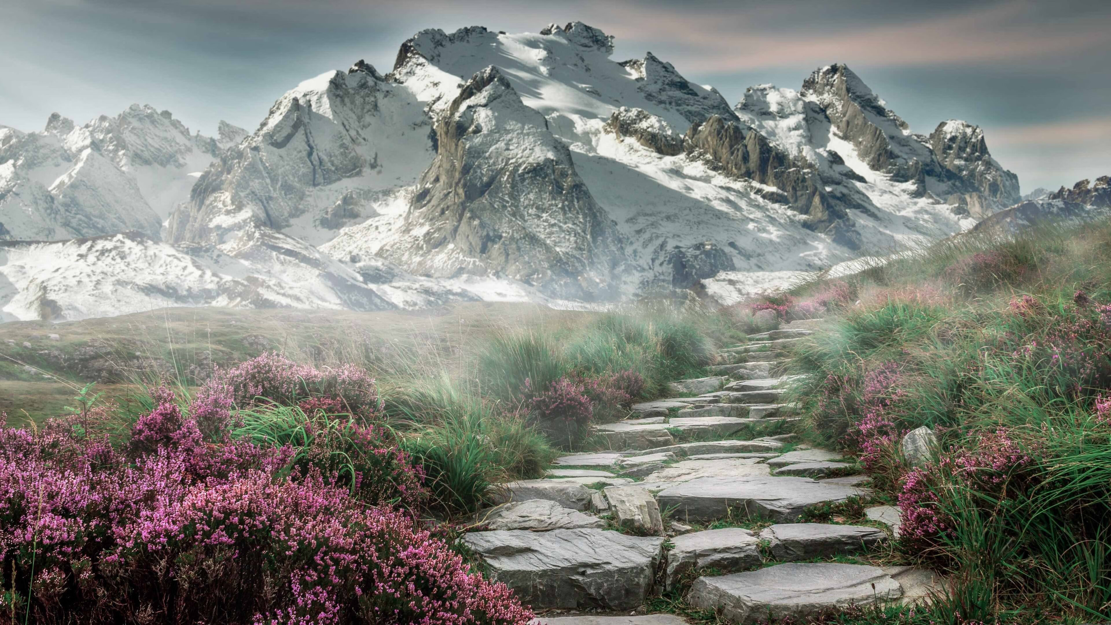 佛罗伦萨传控打法构建多样进攻路径,佛罗伦萨传奇球星