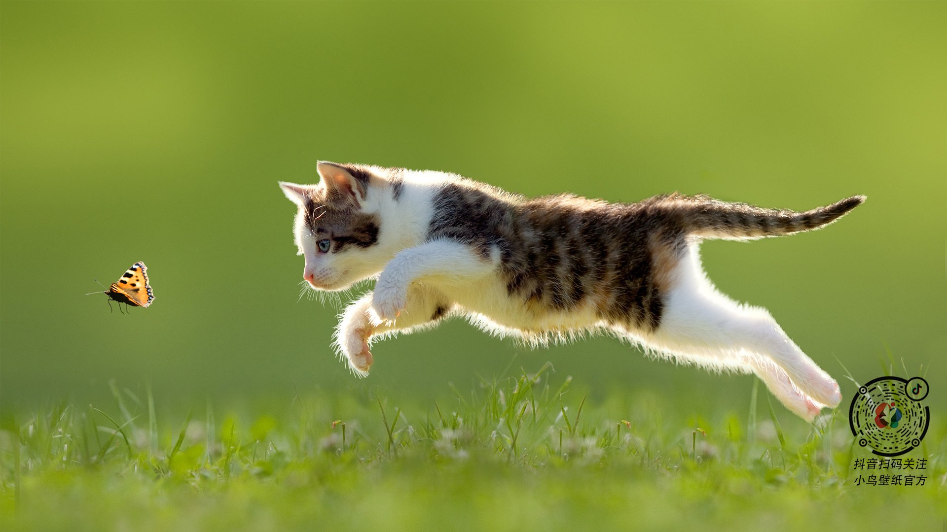 欧洲杯战局变化：战术多变，创意无限！，欧洲杯战术分析